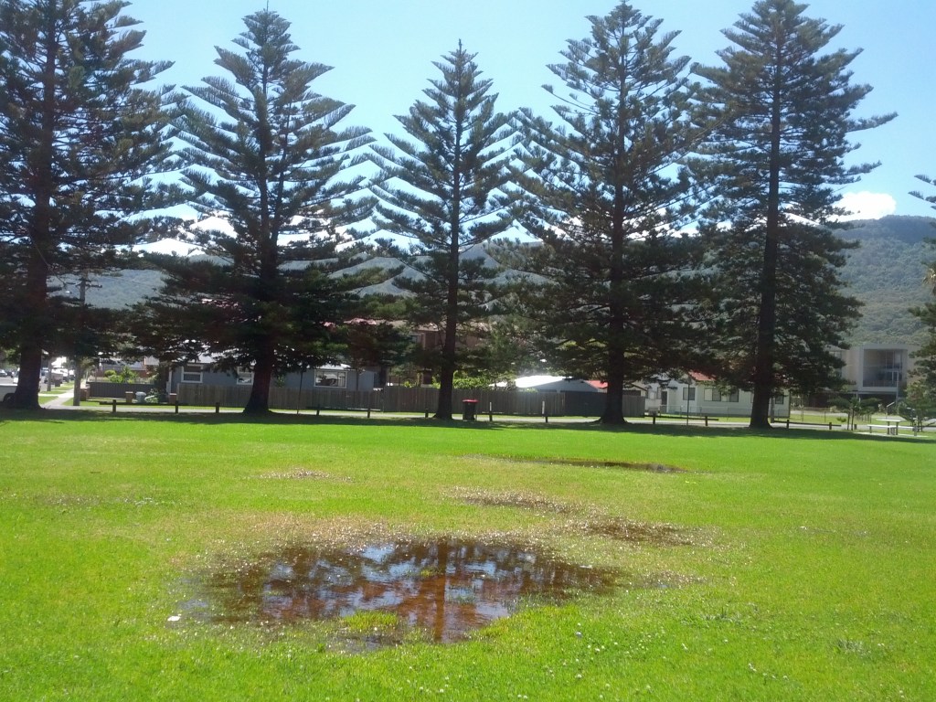 1989 – CANS on Wollongong Council&nbsp;LEP38